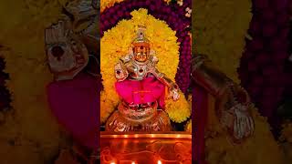 Sharanam Ayyappa 🚩💯shorts ayyappa devotional [upl. by Ailecara]