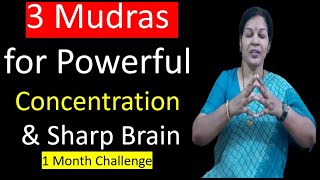 3 Mudras for Powerful Concentration amp Sharp Brain [upl. by Aihsekal]