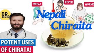 quotChirata ke Ayurvedic Fayde Liver Detox aur Immunity Boost ke Liye Best Herbquot [upl. by Esilram]