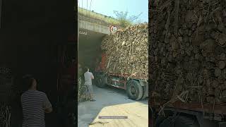 Process Of The Truck Loaded With Wood Passing Through The Bridge Opening [upl. by Hars]