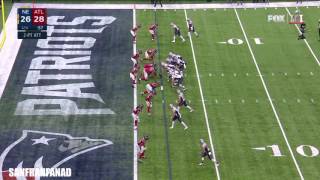 Danny Amendola Clutch 2 Pt Conversion  Super Bowl LI  NFL Highlights HD [upl. by Dranyl9]