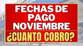 ✨FECHAS de PAGO Noviembre 2024 Anses  CUANTO COBRO [upl. by Erickson618]