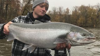 CENTERPINNING FALL STEELHEAD  NEW PB STEELHEAD [upl. by Nwahsirhc]