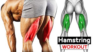 Best Exercise hamstring Workout  Dont Skip It Never [upl. by Namad]