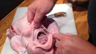 Éviscération dun poulet fermier  how to eviscerate a chicken french [upl. by Neeluqcaj563]