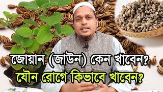 প্রতি দিন একটু করে জোয়ান আর তাতেই মিলবে এ সব উপকার Trachyspermum ammi fou your health [upl. by Inaliak]