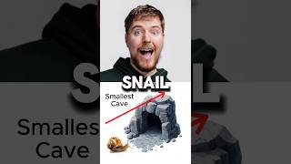 🐌 vs 🐆 – Epic Cave Race Who Wins [upl. by Longerich]