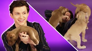 Tom Holland The Puppy Interview [upl. by Baugh]