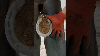 Removing horseshoe asmr shorts farrier horse farrier [upl. by Tamra818]