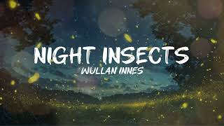 Night Insects  Wullan Innes [upl. by Ardnassac907]