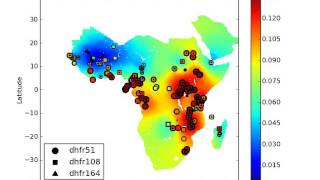 Prevalence of antimalarial drug resistance markers dhfr gene for sulphadoxine pyrimethamine [upl. by Wilonah]