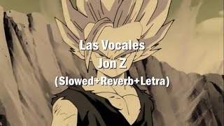 Las VocalesJon Z SlowedReverbLetra [upl. by Kerstin735]