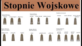 Stopnie wojskowe w Polsce  proste omówienie i opis [upl. by Ytsim]