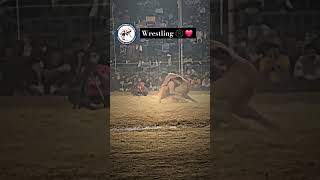 punjabi punjabisong song music newsong whatsupwrestler wrestling love newmusic [upl. by Eiraminot]