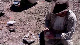 Digging Dinosaurs ROM Field Reports  Alberta 2011 Part 2 [upl. by Suoinuj]