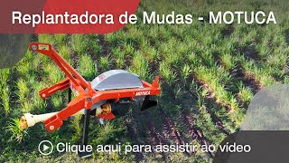 Implemento Agrícola  REPLANTADORA DE MUDAS MOTUCA  Agrimec [upl. by Rusticus]