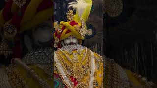 happy trendingshorts shyaam shyambaba baba khatushyam viralvideo video trending [upl. by Eidarb]