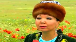 Саламат Садыкова  Алатоо  Kyrgyz Music [upl. by Adnuhser825]