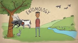 What is an entomologist [upl. by Parrish]