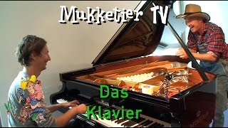 Wie funktionieren Klavier und Flügel  Mukketier TV [upl. by Milly]