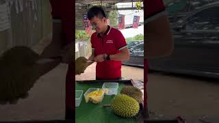 Unboxing durian musangking pokoktua  Best cutter durian 126 [upl. by Charline]