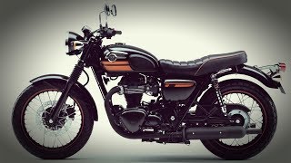 2019 Kawasaki W800 Retro Final Edition Review [upl. by Byrn855]