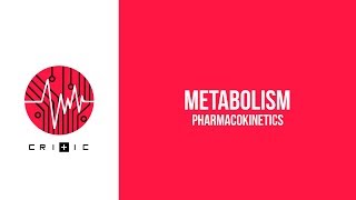 Metabolism  The Pharmacokinetics Series [upl. by Hershel302]