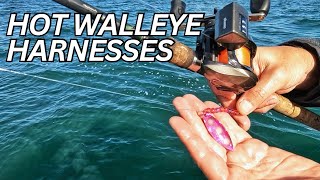 HOT walleye BITE Walleye fishing TIPS and TECHNIQUES [upl. by Jezreel]