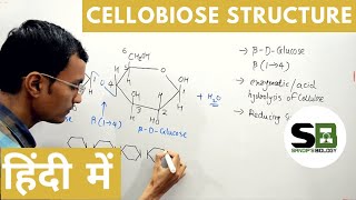 Cellobiose structure in Hindi [upl. by Nivat]