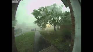 Tree snaps in half  Ottawa Derecho Storm May 21 2022 [upl. by Terrilyn158]