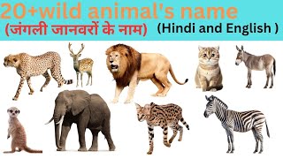 Wild Animals  Learn wild animals names in English  20 animals name  English Educational Video [upl. by Notnirb]