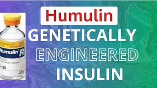 Humulin  Genetically Engineered Insulin lll Biotechnology and its application lll NEET class XII [upl. by Hanschen]