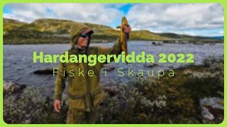 Fisketur til Skaupa  Hardangervidda 2022 [upl. by Sitnik86]