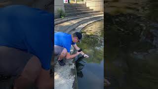 Behind the Scenes of a Fish Release Short fishing panfishing fishrelease catchnrelease shorts [upl. by Idnal]