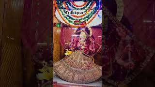 Mata bala sundri Trilokpur mandir 🛕 jaimatadi Ytshorts shorts ytshortsindia trilokpur maa [upl. by Enaid]