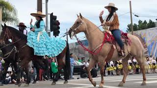 MEXICAN AZTECAAMERICAN AZTECA DANCING HORSES [upl. by Pedaias188]