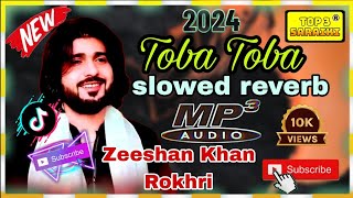 toba toba zeeshan khan rokri slow reverb song mp3 2024 Saraiki 2024 Top 3 Saraiki [upl. by Nirtiak351]