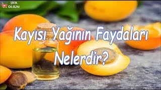 Kayısı Yağının Faydaları Nelerdir [upl. by Bickart]