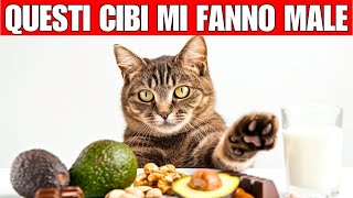 18 alimenti pericolosi e tossici che il tuo gatto non deve MAI mangiare [upl. by Bartel]