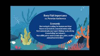 AICE Marine Science Topic 4 Understanding Marine Organisms Bony and Cartilaginous Fish [upl. by Moina654]