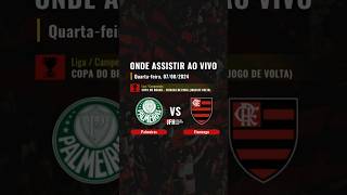 Onde assistir Palmeiras x Flamengo ao vivo Copa do Brasil  oitavas de final volta  07082024 [upl. by Arnaud]