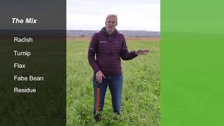 Cover Crop Selection for Bio Strip Till [upl. by Campagna]