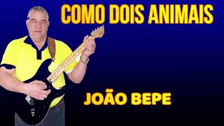 COMO DOIS ANIMAIS  JOÃO BEPE [upl. by Aliuqet]