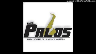 Los Bueyes Grupo Los Palos [upl. by Susie568]