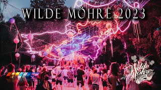 Wilde Möhre  2023 [upl. by Gnouh]