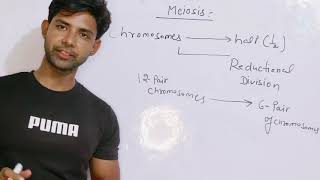 Meiosis  cell division cellcycle  Mitosis [upl. by Noicpesnoc736]