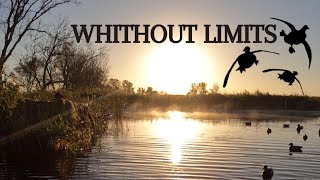 Duck Hunting Without Limits Memories That Are Lasting  Minnesota Waterfowl Hunt [upl. by Navnod689]