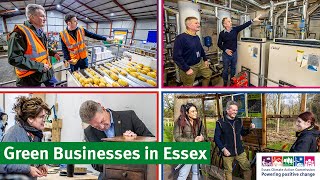 Green Businesses in Essex [upl. by Akimad976]