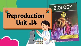 Development and structure of seed  Parts of seeds Reproduction Unit14 class 10th Biology [upl. by Ocsinarf]