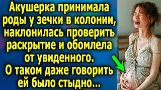 Акушерка принимала роды у зечки в колонии наклонилась проверить и обомлела от увиденного… [upl. by Nirac]